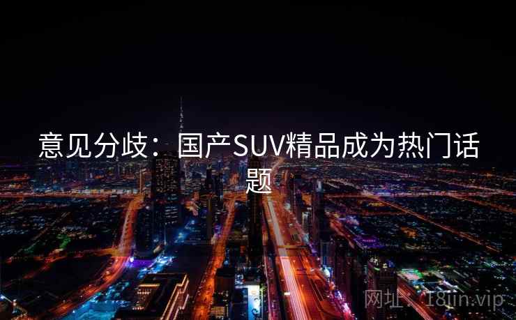 意见分歧：国产SUV精品成为热门话题